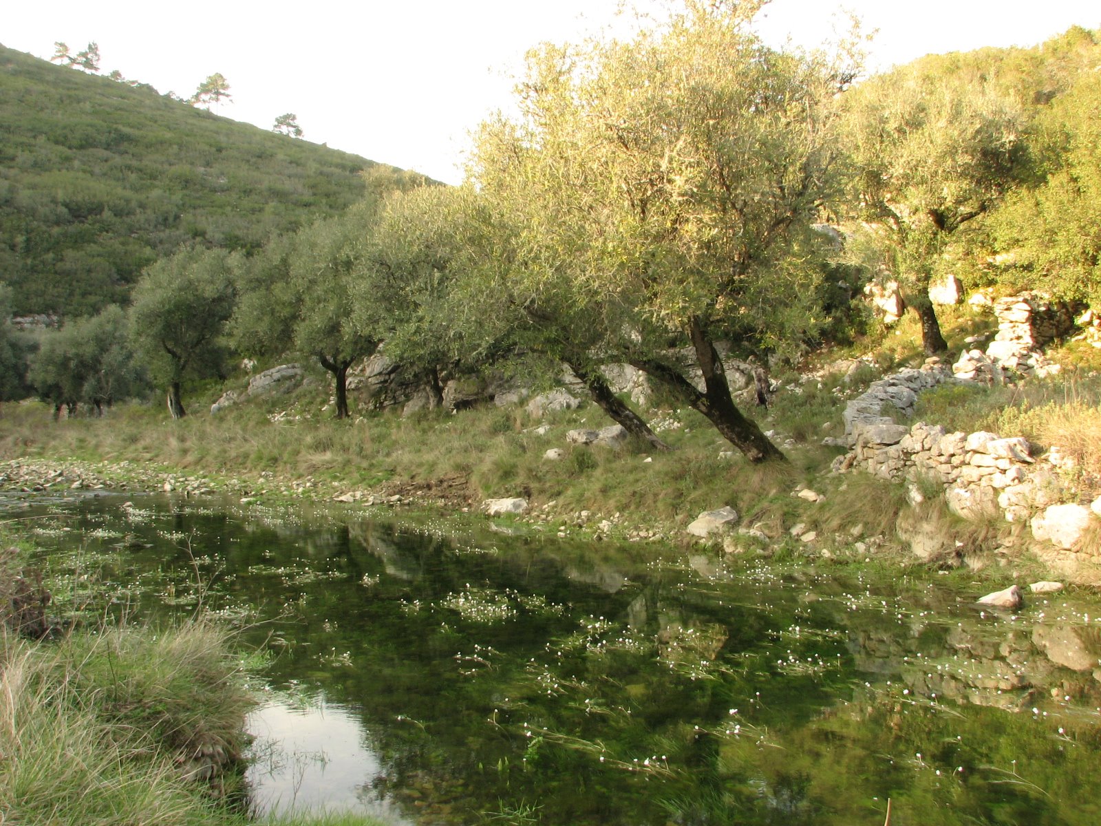 [IMG_6387[1]]